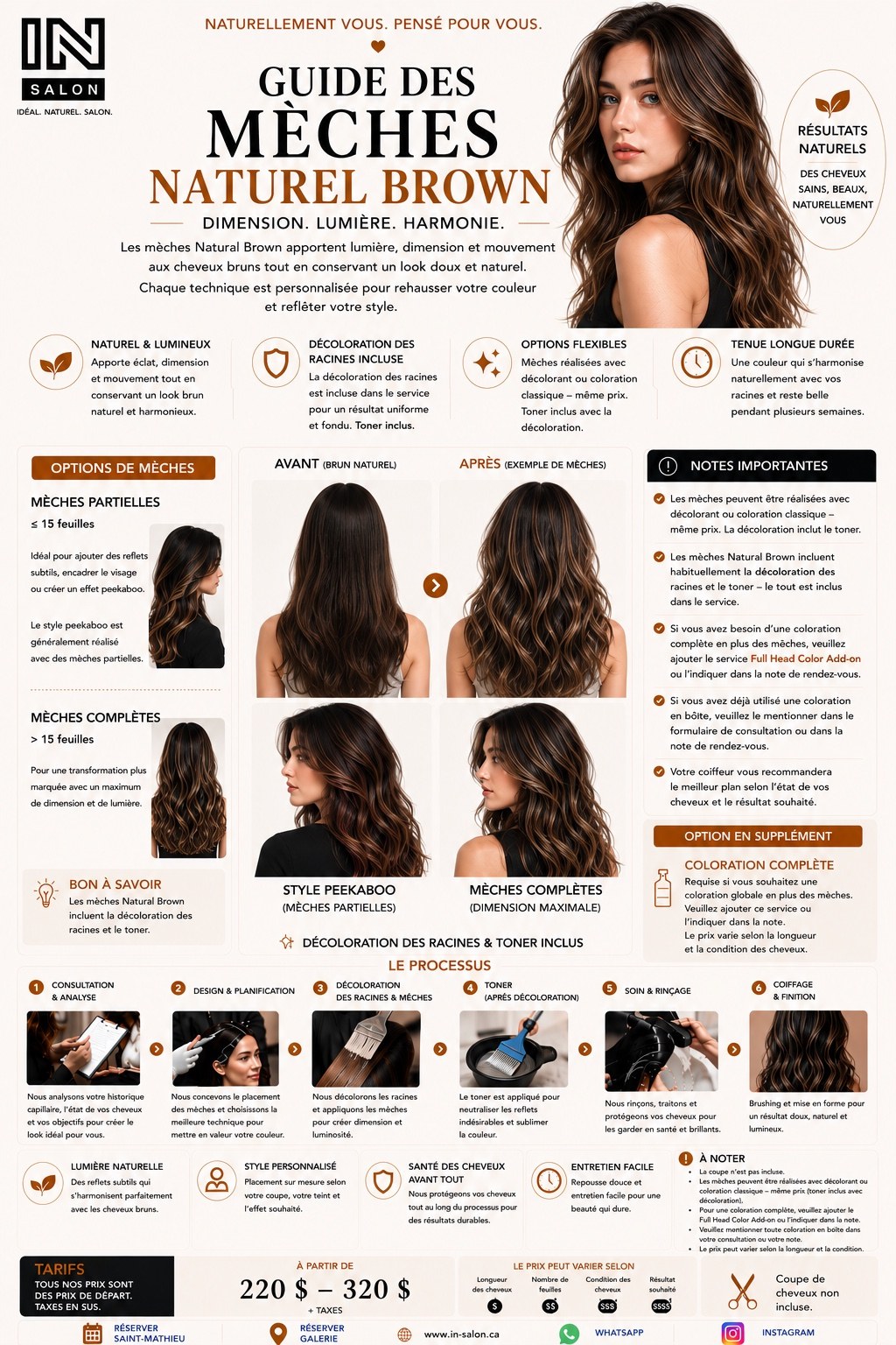 Guide des mèches brun naturel